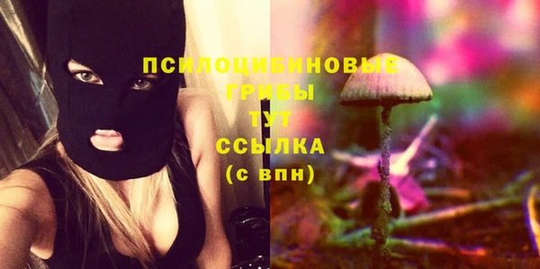 прущий лед Алексеевка