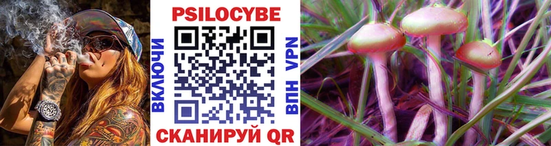 Псилоцибиновые грибы Psilocybine cubensis  нарко площадка какой сайт  Дубна 