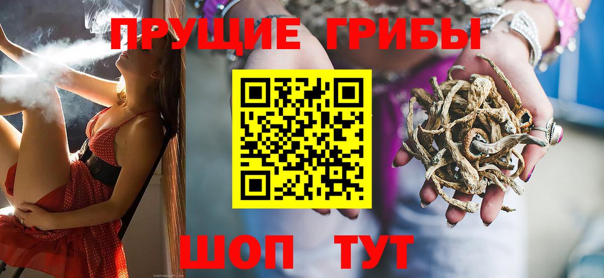 купить наркоту  Псилоцибиновые грибы ЛСД  Вход с VPN  Дубна 