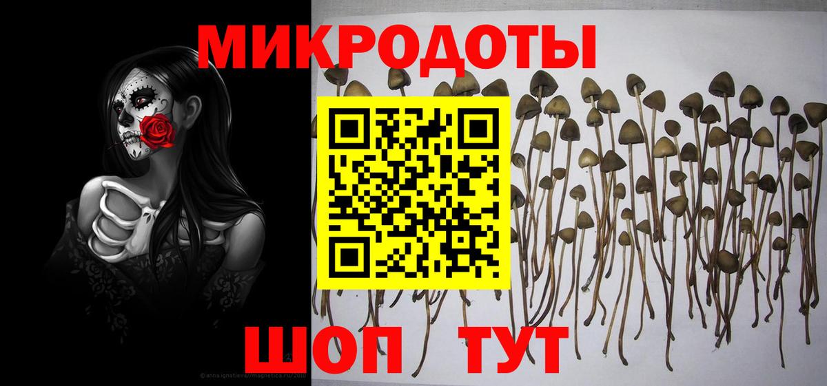 Галлюциногенные грибы Psilocybine cubensis Дубна